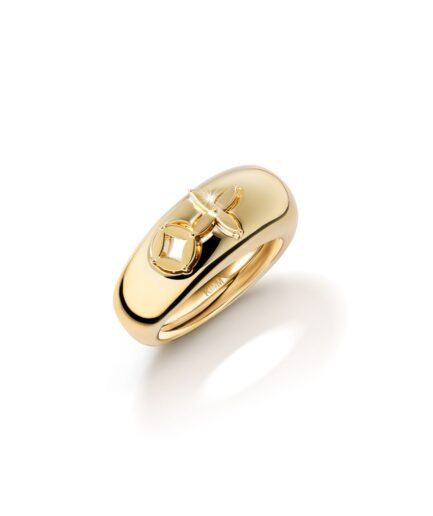 Kimm Ring RI 1301