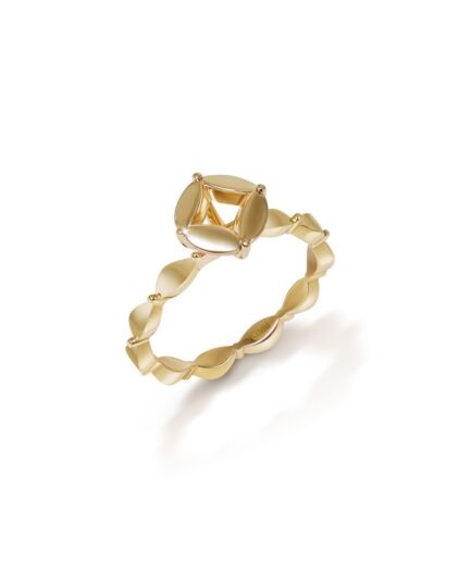 Kimm Ring RI 1000