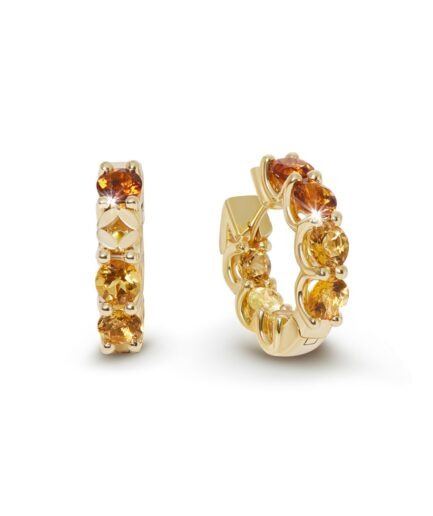 Kimm Earring Shades